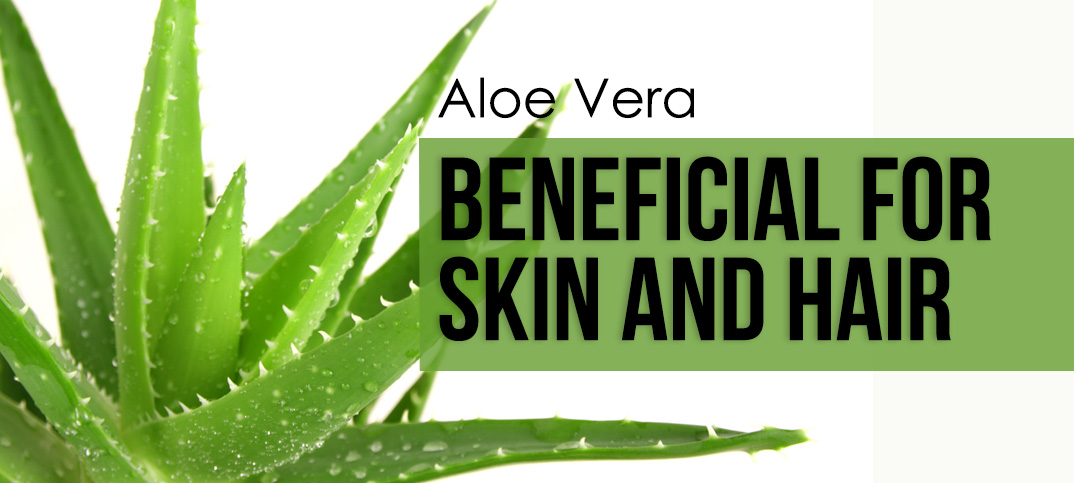 aloe vera benefits for skin and hair