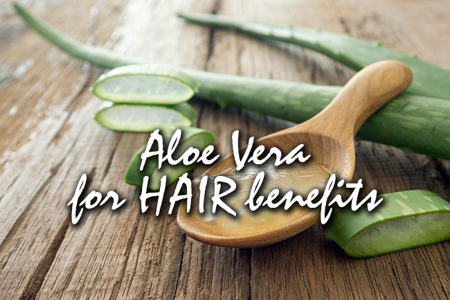 aloe vera for hair benefits
