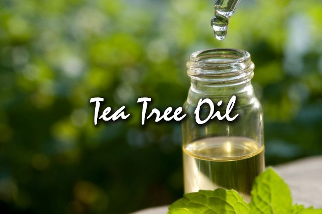 tea tree oil for hair care