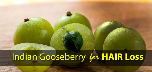 indian gooseberry for hair loss