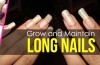 maintain long nails