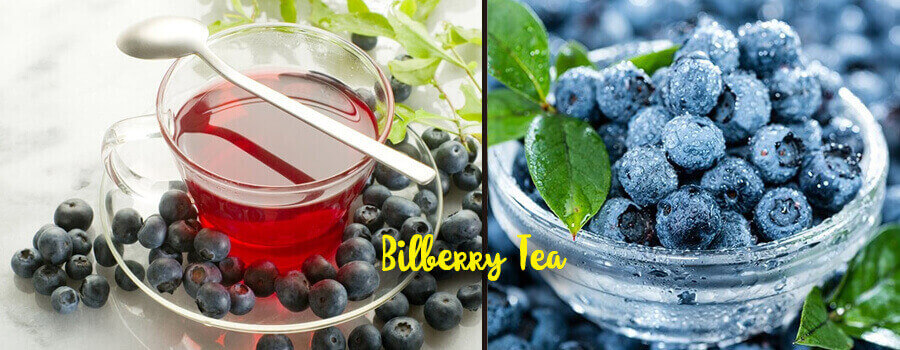 bilberry tea